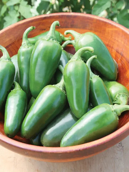 Hot Pepper Seeds (Organic) - Jalapeno Early