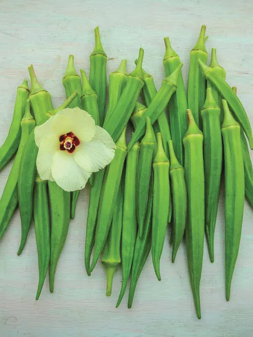 Okra Seeds (Organic) - Clemson Spineless