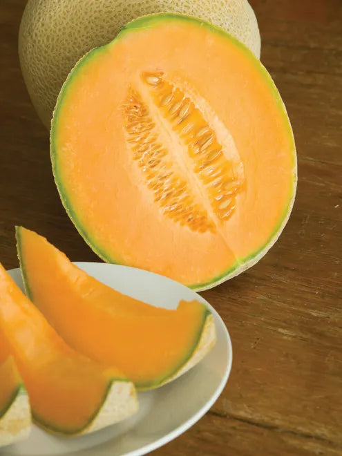 Melon Seeds - Hales Best Jumbo