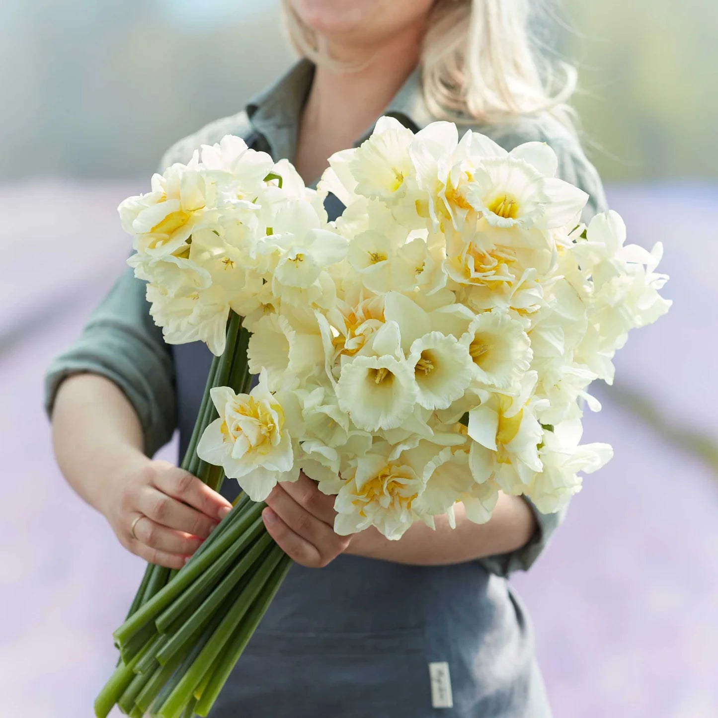 Daffodil Bulbs - Lemondrop Mix