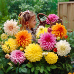 flowers high quality flower seeds for growing vibrant and colorful blooms in home gardens and landscapes organic flowers premium organic flower seeds for sustainable gardening and beautiful blossoms suitable for all climates