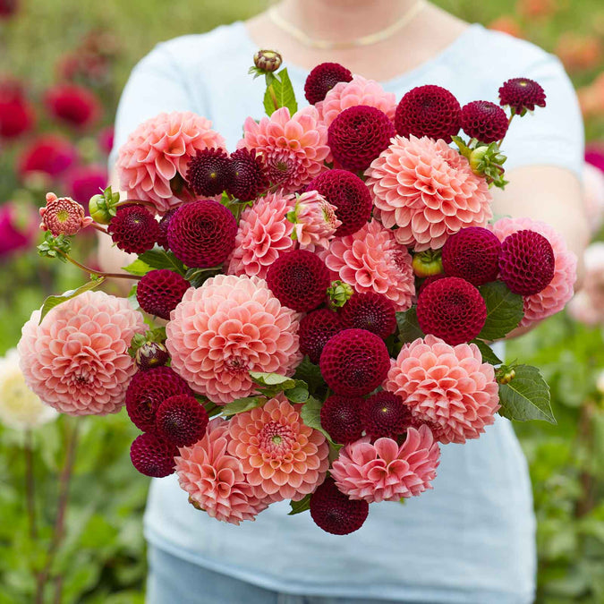 flowers high quality flower seeds for growing vibrant and colorful blooms in home gardens and landscapes organic flowers premium organic flower seeds for sustainable gardening and beautiful blossoms suitable for all climates