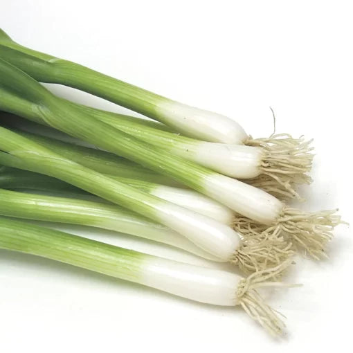 Damast Bunching Onion Seeds heirloom non GMO green onion seeds for home garden