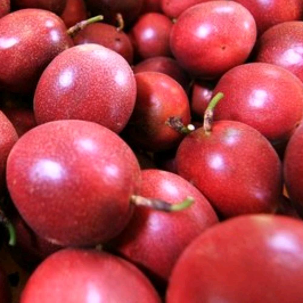 Dark Red Passion Fruit Seeds for Planting in Warm Climates