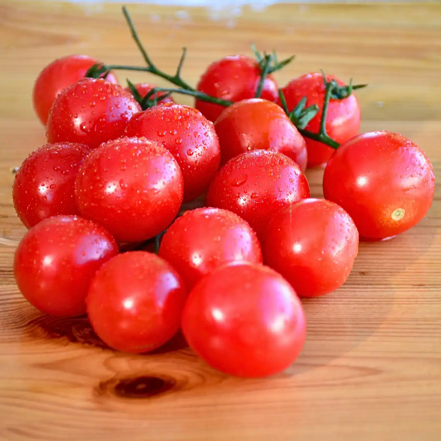Datterino Seeds for Planting - heirloom & Non-GMO Seeds