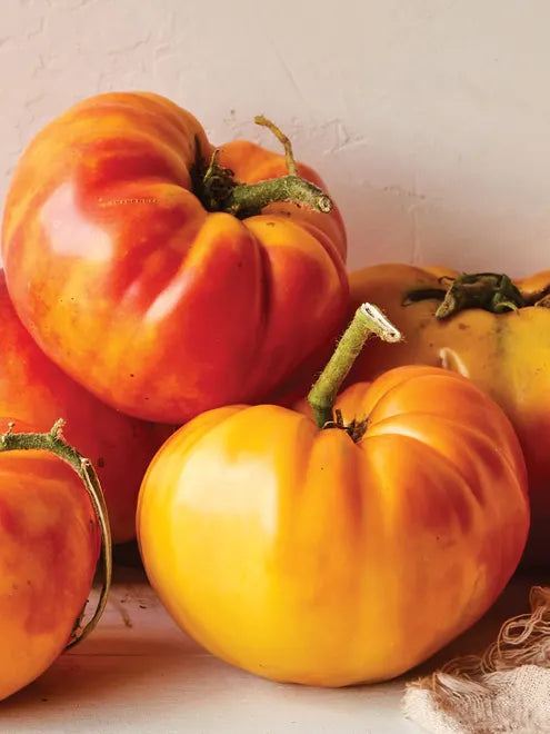 Tomato Seeds (Organic) - Big Rainbow