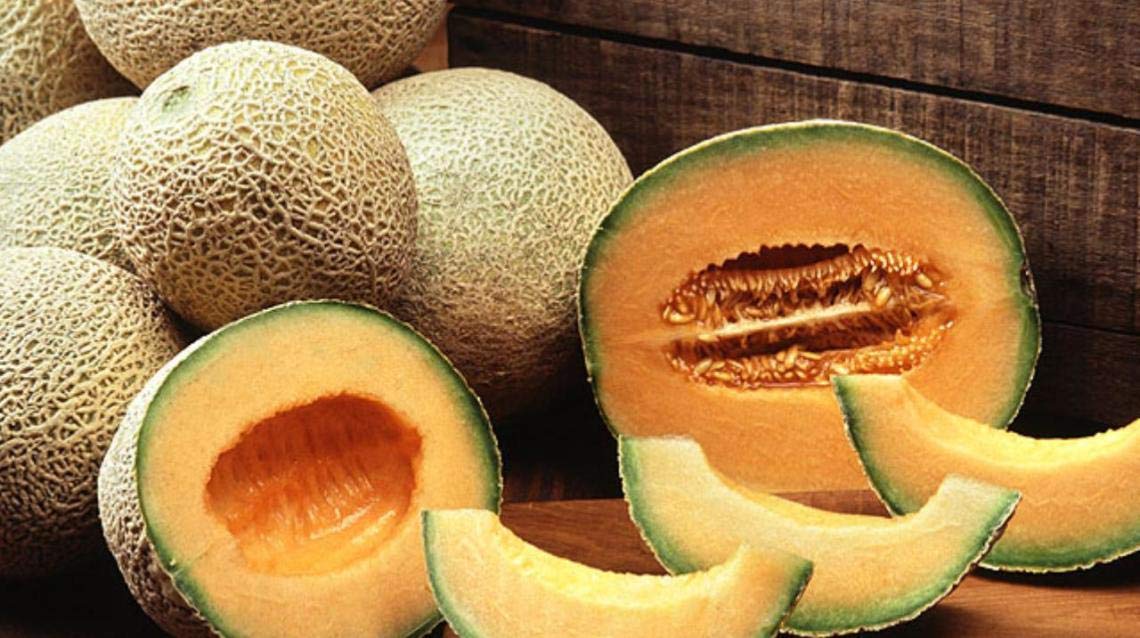 Deep orange flesh cantaloupe seeds hybrid variety