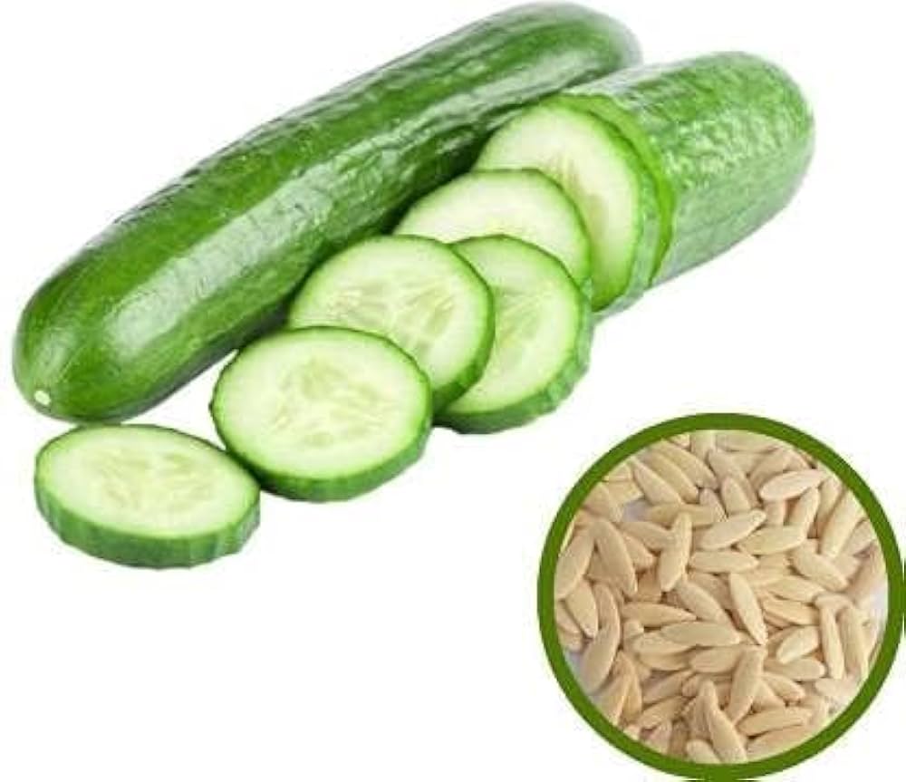 Dekan Cucumber Seeds – Crisp Green Variety for Slicing or Pickling - Dharaseeds