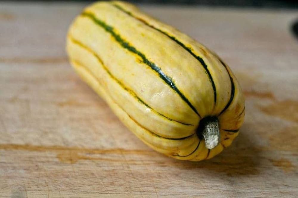 Delta Squash Seeds – Reliable Summer Squash for Abundant Harvests - Dharaseeds