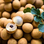 Dimocarpus Longan Seeds for Home Gardening