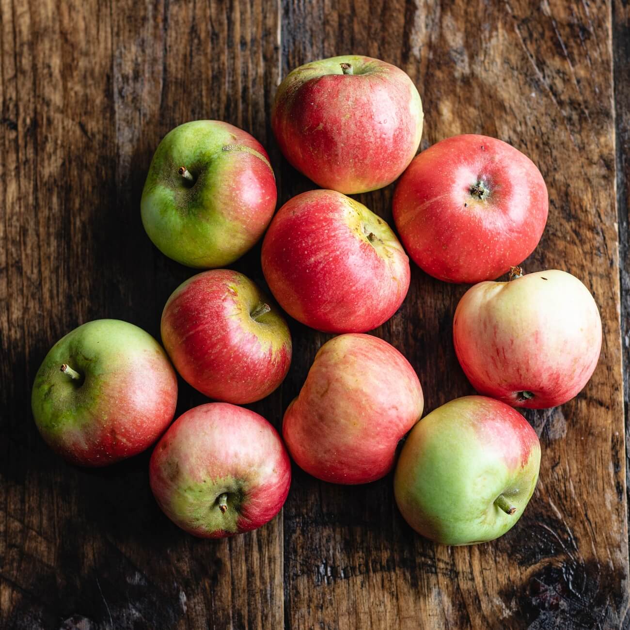 Discovery Apple (Malus domestica)