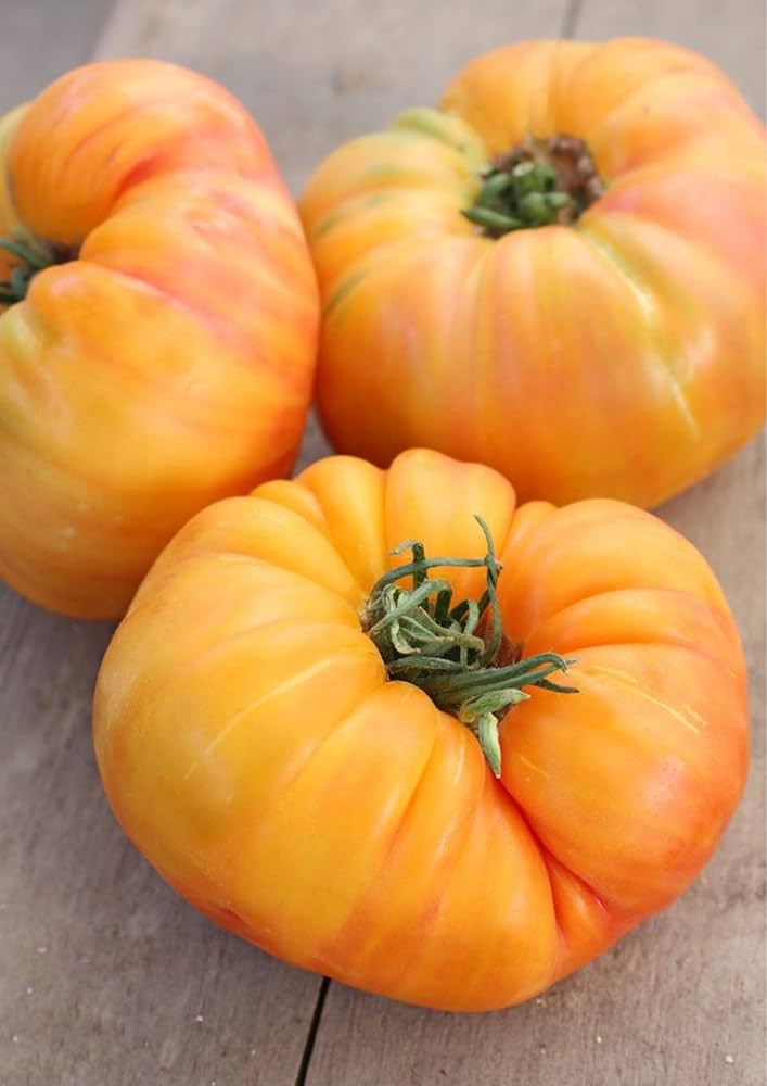 Dixie Golden Giant beefsteak tomato seeds for planting extra - large fruits - Dharaseeds
