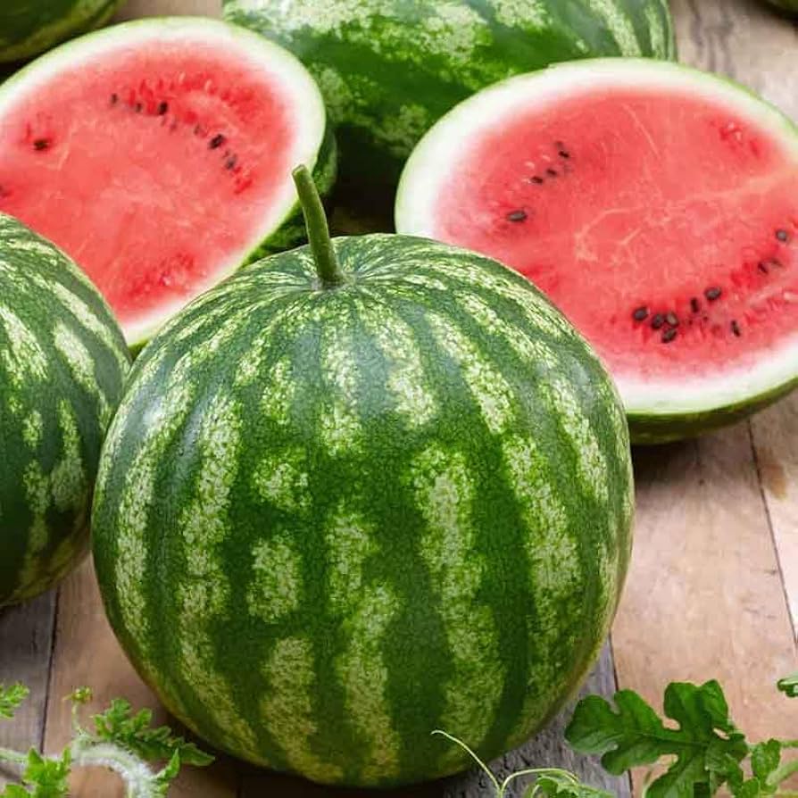 Dixie Queen watermelon non GMO seeds for home gardening