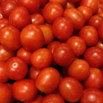 Dolgokhranyashchysya Tomato Seeds – Long Shelf - Life Variety for Storage & Transport - Dharaseeds