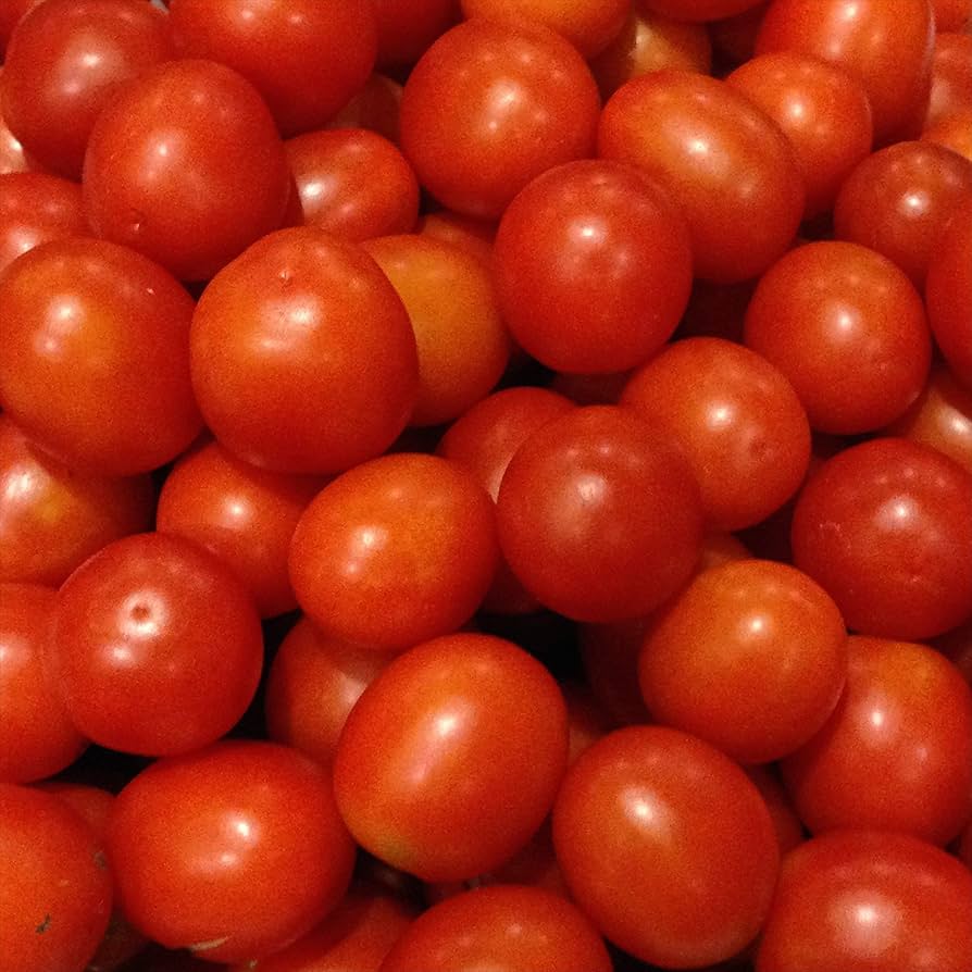 Dolgokhranyashchysya Tomato Seeds – Long Shelf - Life Variety for Storage & Transport - Dharaseeds