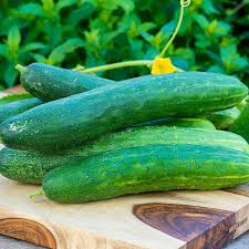 Cucumber Seeds - Garden Sweet Burpless