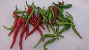 Hot Pepper Seeds - Cayenne Long Red Thin