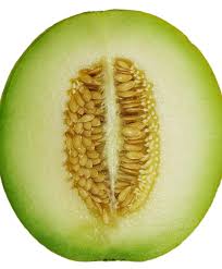 Melon Seeds - Honeydew Green