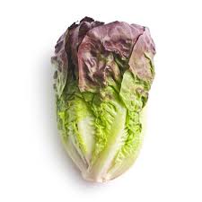 Lettuce Seeds - Red Romaine