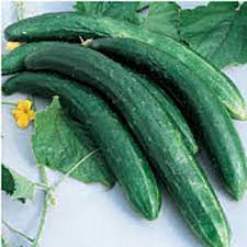 Heirloom Burpless Cucumbers (mild taste, easier to digest) Tasty Green Cucumber Seeds for Planting - Non-GMO Seeds