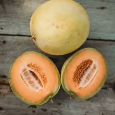 Melon Seeds - Honeydew Orange