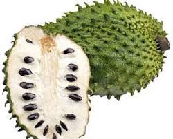 White pulp soursop fruit seeds for tropical planting
