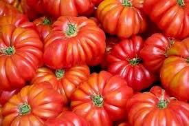 Red Costoluto Tomato Solanum lycopersicum seeds for garden planting