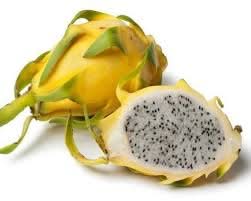 Yellow dragon fruit seeds Hylocereus for planting