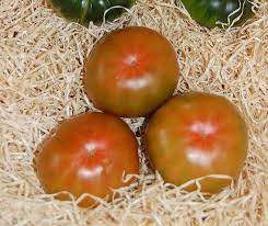Red Green Tomato Solanum lycopersicum seeds for garden planting