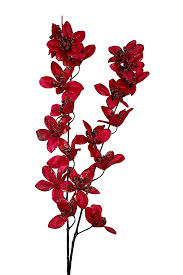 Heirloom Red Weeping Forsythia Flower Seeds for Planting, Non-GMO seeds for planting in home garden