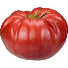 Light Red Giant Tomato Solanum lycopersicum for planting in urban garden