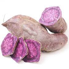 Stokes Purple Sweet Potato Ipomoea batatas for planting in vegetable patch