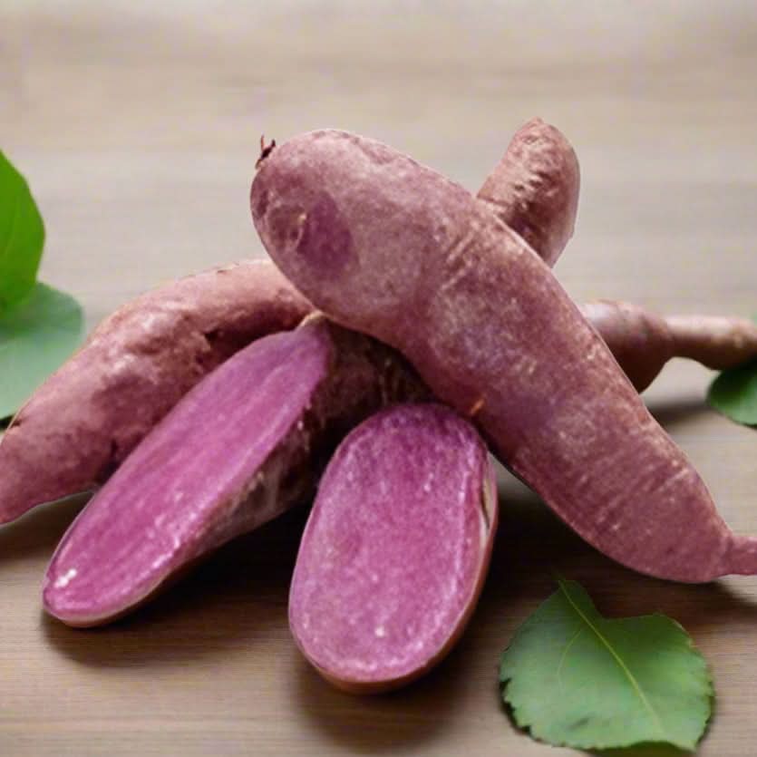 Light Violet Sweet Potato Ipomoea batatas seeds for garden planting