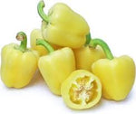 Light Yellow Bell Pepper Capsicum annuum seeds for garden planting