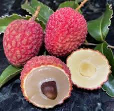 Hak Ip black leaf lychee fruit seeds
