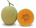 Muskmelon fruit seeds