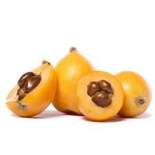 Gold Nugget Loquat Eriobotrya japonica seeds for planting in home garden