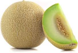 Green Dew Melon Fruit Seeds for Planting and Cultivating Refreshing and Aromatic Melons