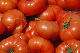 Striped Cavern Tomato Vegetable Seeds for Planting