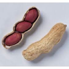 Valencia Peanuts Seeds for Planting