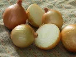 Onion Seeds (Organic) - Texas Early Grano