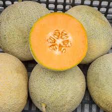 Divergent Organic Melon Seed