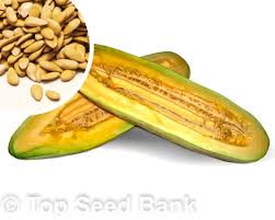 Melon Seeds - Banana