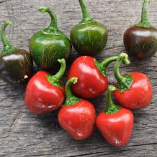 Sweet Pepper Seeds - Red Cherry Sweet