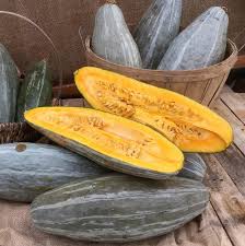 Squash (Winter) Seeds - Guatemalan Blue