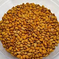 Brown Tepary Bean Seeds for Planting - Healthy Vegetable - heirloom & Non GMO Seeds