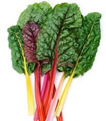 Swiss Chard Beta vulgaris seeds for garden planting