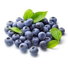 Blueberry Vaccinium spp. seeds for fruit garden