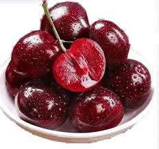 Rainier sour cherry fruit seeds