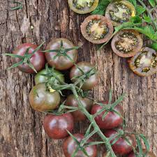 Tomato Seeds (Organic) - Black Cherry